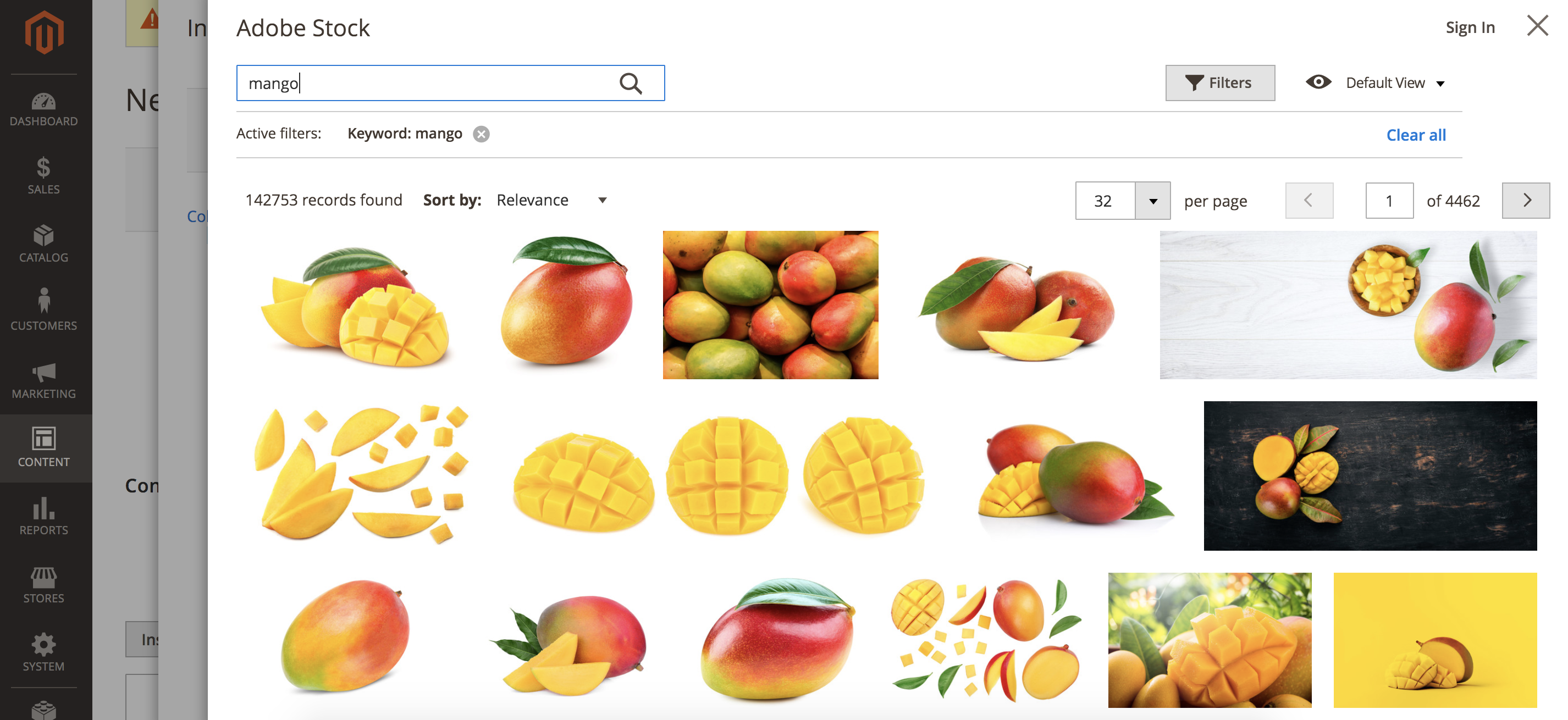 Adobe Stock-Suchergebnisse für das Stichwort "mango"